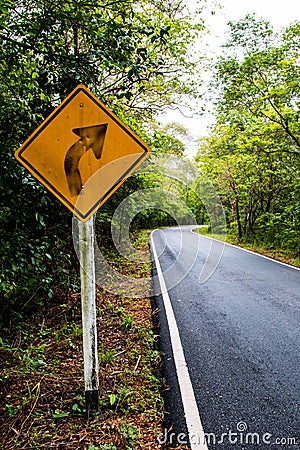 Signal turn right on country road, Traffic Signs Stock Photo