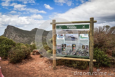 Scenic view at Cape Peninsula, Cape Town, South Africa Editorial Stock Photo