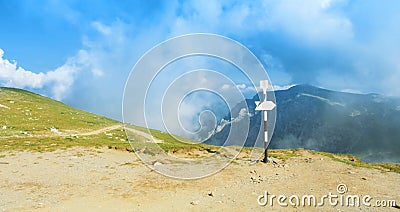 A signpost direction white sign arrow near the tracking path at Stock Photo