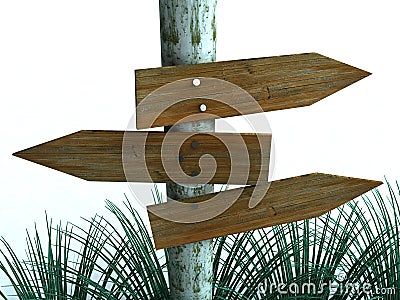 Signpost Directions Cartoon Illustration