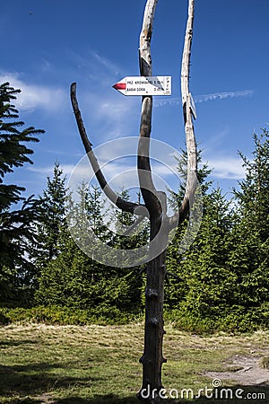 Signpost information, Poland Stock Photo