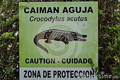 Signpost saying beware of crocodiles, caymans, in spanish at the caribbean coast Editorial Stock Photo