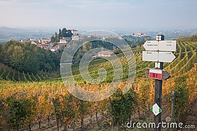 Signposts, Le Langhe, Italy Stock Photo
