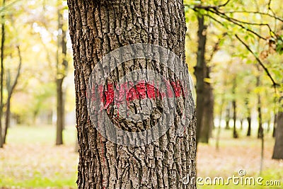 Signs on trees painted red paint. Sign of red paint on the bark of a diseased tree Stock Photo