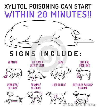 Signs of xylitol poisoning in dogs. Editable vector illustration Vector Illustration