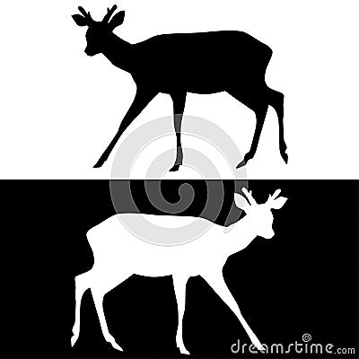 Sika deer with horns. Black and white silhouettes Vector Illustration