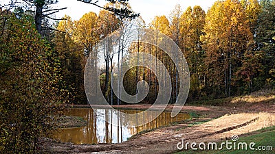 Silent and Restful Pond Nestled Among the Beautiful Tree of Autumn Stock Photo