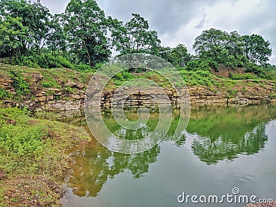 Silent water in forest, quiet place Stock Photo