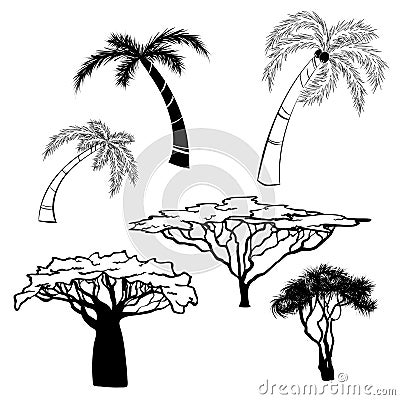 Silhouette of africa trees Vector Illustration