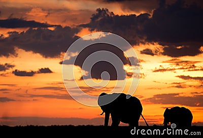 Silhouette of African elephants, mother and a calf Stock Photo