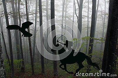 Silhouette of an amazon warrior woman riding a horse with bow an Stock Photo