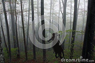 Silhouette of an amazon warrior woman riding a horse in forest Stock Photo