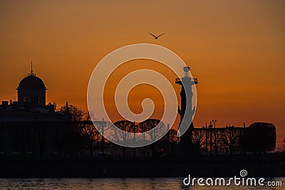 Silhouette of the arrow Vasilevsky island in St. Petersburg. Stock Photo