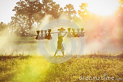 Silhouette of asian farmer Bearing seedlings of rice to plant, Asian farmer Bearing rice seedlings Stock Photo