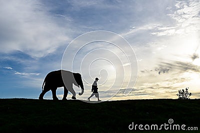 Silhouette baby elephant walking follow a man Stock Photo