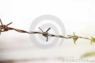 Silhouette of barbed wire Stock Photo