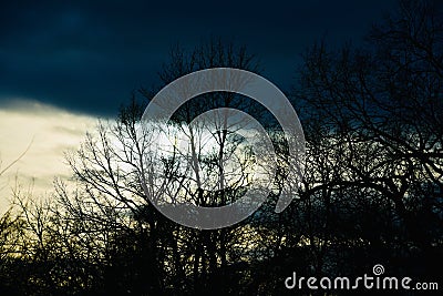 Silhouette bare trees with dark cloudy sky background Stock Photo