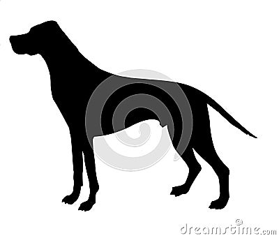 Silhouette beagle Vector Illustration