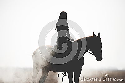 Silhouette of a beautiful girl riding a horse on a white background Stock Photo