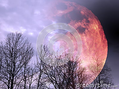 Silhouette of a big bright full orange red blood moon behind bare leafless trees on cloudy purple hue sky background wallpaper. Cartoon Illustration