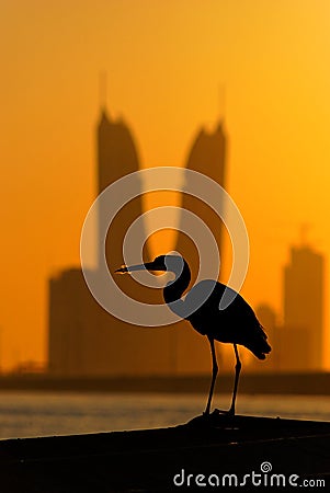 Silhouette of of bird against Bahrain Financial Harbour Stock Photo