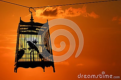 Silhouette of Bird in the cage with red sky sunset background Stock Photo