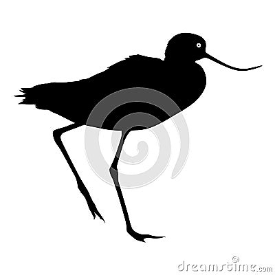 Silhouette bird Long billed curlew on a white background Vector Illustration