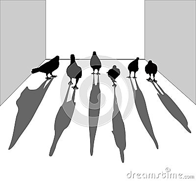 Silhouette of bird. Pigeon walking on the floor. Look like gangs Vector Illustration