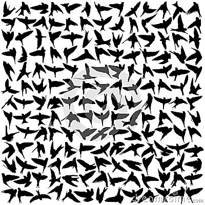 Silhouette of birds Vector Illustration