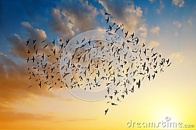 Silhouette of birds flying in arrow formation. Stock Photo
