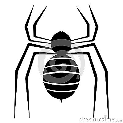 Black spider on white Vector Illustration