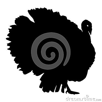 Silhouette black turkey on a white background Vector Illustration