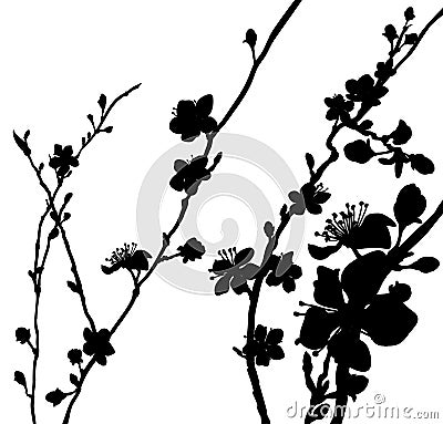 Silhouette Blossom Flowers Background Pattern Vector Illustration