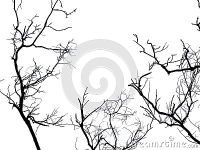 Silhouette branch of dead tree isolated Stock Photo