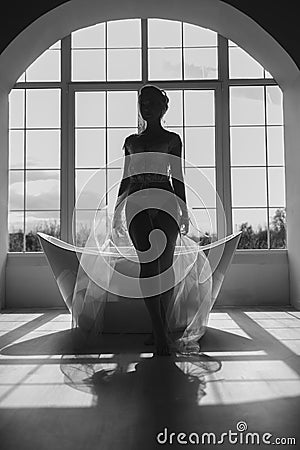 Silhouette of the bride against the window Stock Photo