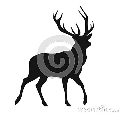 Silhouette of the buck Stock Photo