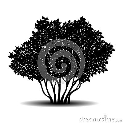 Silhouette bush with leaves and shadow Vector Illustration