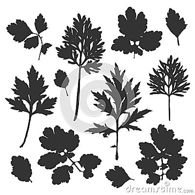 Silhouette of bush leaves. Vector Illustration