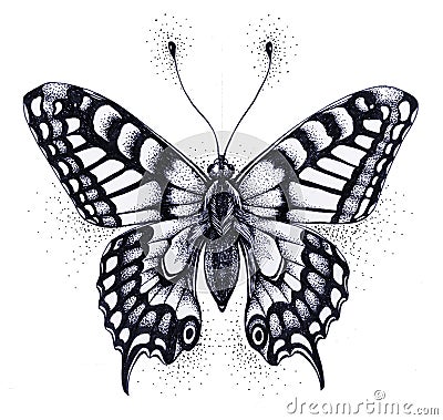 Silhouette of butterfly. Symbol of soul, immortality, rebirth and resurrection. Black and white Tattoo Stock Photo