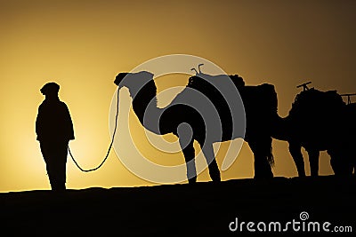 Silhouette of a camel caravan at sunrise in desert Sahara, Morocco Stock Photo
