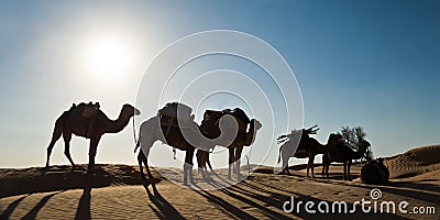 Silhouette of a caravan of camels in sand dunes - South Tunisia Stock Photo