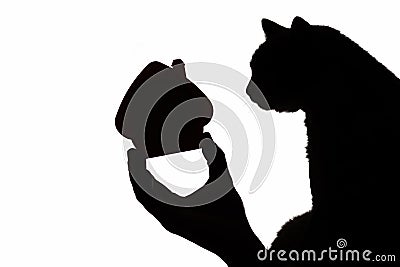 Silhouette cat and house figure in human hand, concept of shelter for homeless animals Stock Photo