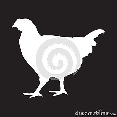 Realistic white silhouette chicken Cartoon Illustration