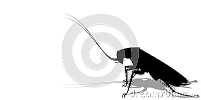 Silhouette of cockroach on transparent background Vector Illustration
