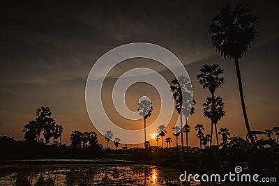 Silhouette of coconut palm trees during sunset next the sea water on island in Thailand. Nature and travel concept. Sun, red sky. Stock Photo