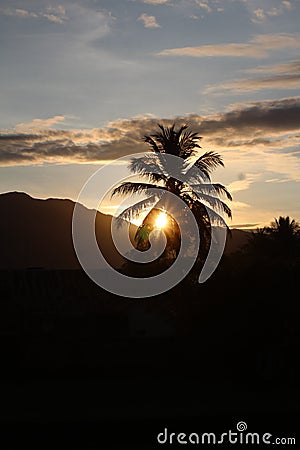 The silhouette of coconut tree on the beginning sunset Stock Photo