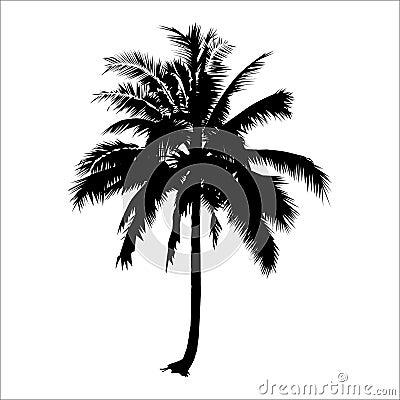 Silhouette coconut tree. vector logo design. natural plant Vector Illustration