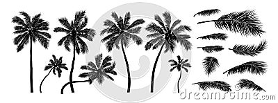 Silhouette coconut tree on white background vector illustration Vector Illustration