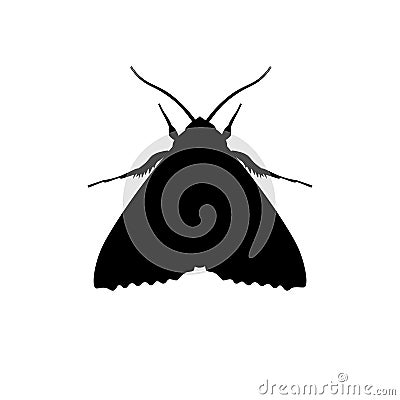Silhouette of codling moth Vector Illustration