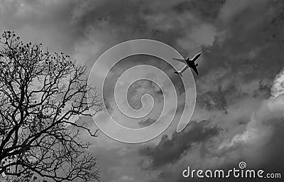 Silhouette commercial airplane on grey sky and clouds with death tree. Failed vacation. Hopeless and despair concept. Moody sky Stock Photo